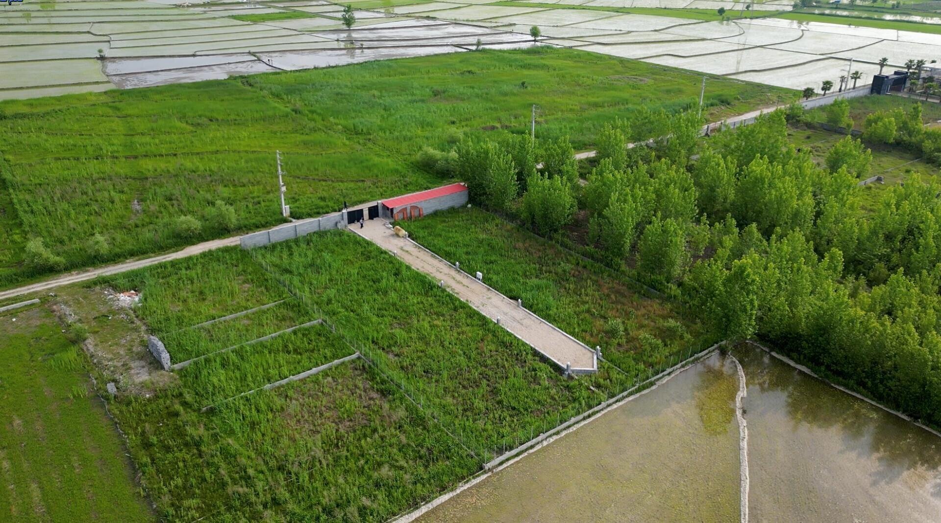 پیش‌فروش محدود زمین‌های شهرکی با سند تک‌برگ در شمال!