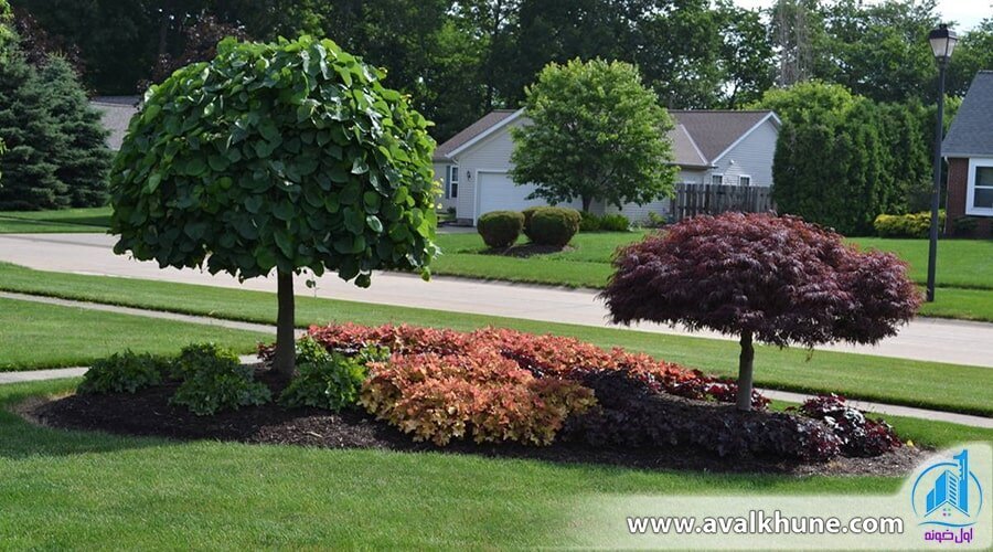 گیاهان مناسب برای طراحی فضای سبز و محوطه سازی ویلا