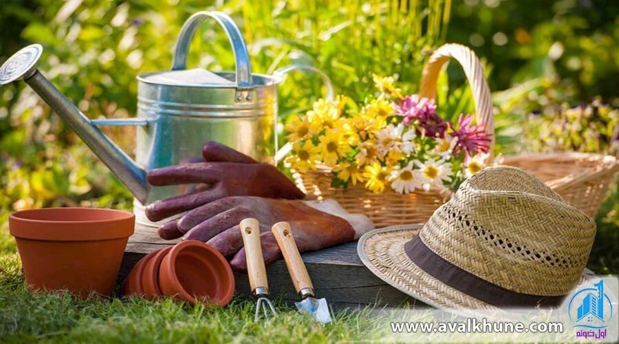 مهم‌ترین ترفندهای باغبانی در منزل و نگهداری محصولات باغی و زراعی