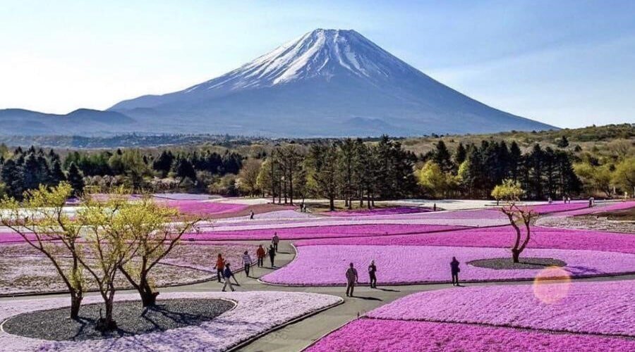 چگونه سه روزه جاهای دیدنی مازندران را ببینیم؟