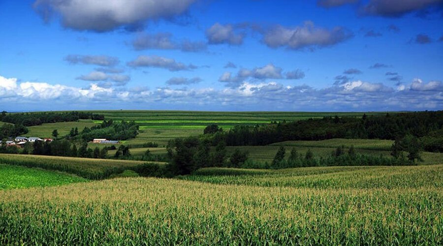 تفاوت اراضی کشاورزی و مسکونی: آنچه باید بدانید!