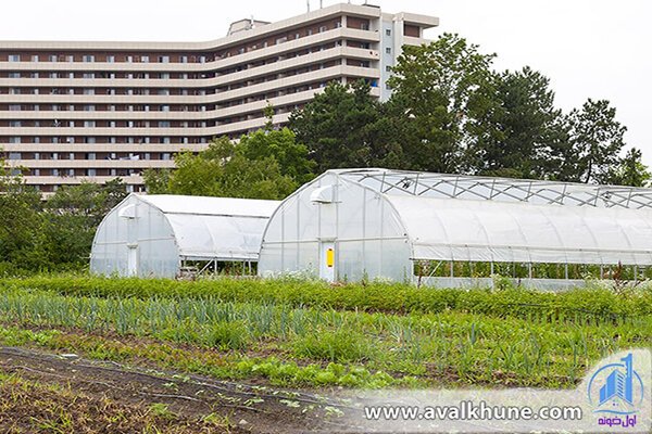 راهکارهایی برای کسب و کارهای کشاورزی