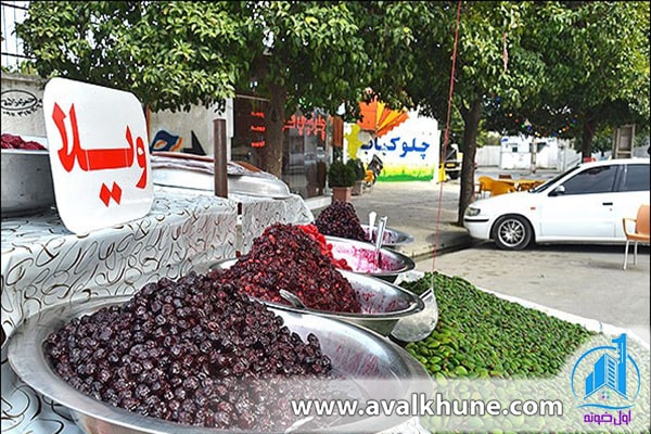 اجاره ویلا با ژیلا یک فاجعه تأسف بار در شمال اجاره ویلا با ژیلا یک فاجعه تأسف بار در شمال