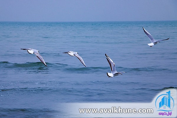 سفر به نوشهر در مازندران سفر به نوشهر در مازندران