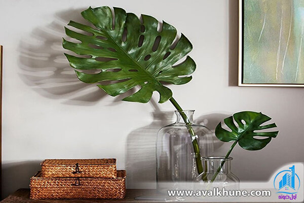 گیاهان آپارتمانی برگ انجیری گیاهان آپارتمانی برگ انجیری