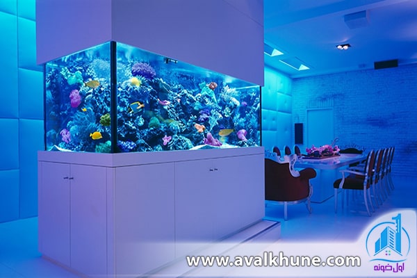 نکات مهم در خرید آکواریومهای خانگی نکات مهم در خرید آکواریومهای خانگی