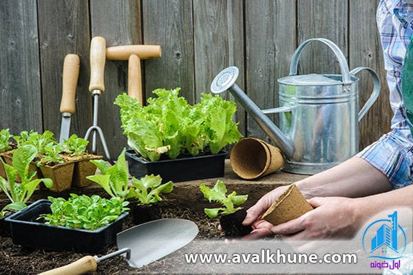 کاشت سبزی در باغچه کاشت سبزی در باغچه