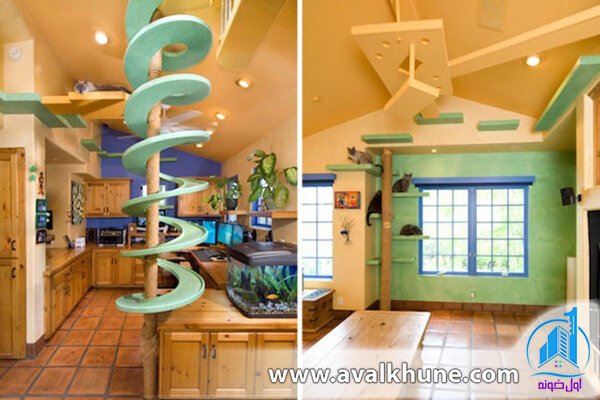 خانهای برای بازی گربهها؛ کالیفرنیا خانهای برای بازی گربهها؛ کالیفرنیا