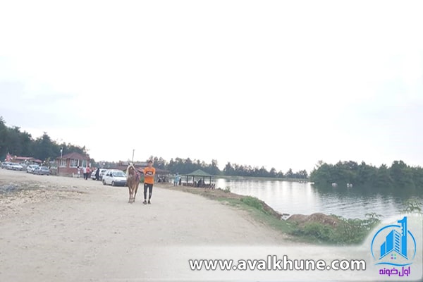 سرگرمیها و تفریحات دریاچه آویدر نوشهر سرگرمیها و تفریحات دریاچه آویدر نوشهر