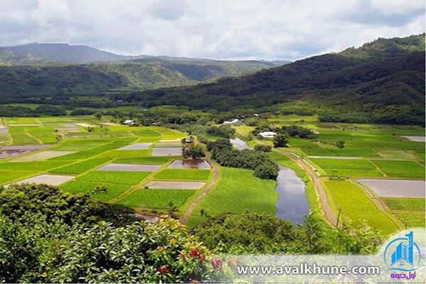 انواع زمین برای خرید در شمال انواع زمین برای خرید در شمال
