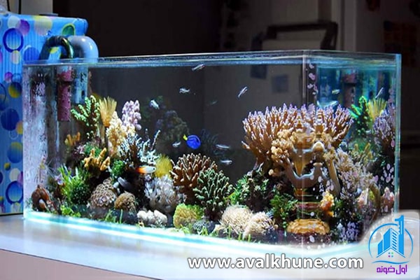 تهیه چک لیست برای خرید آکواریوم خانگی تهیه چک لیست برای خرید آکواریوم خانگی