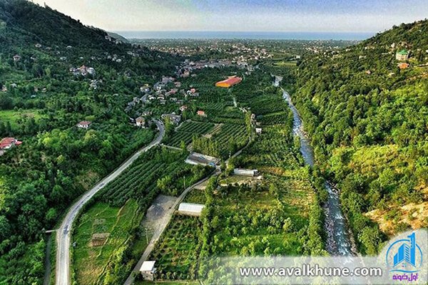 جنگل دالخانی، جنگل دالخانی،