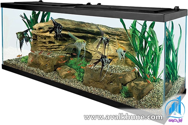 ابعاد و اندازه آکواریوم خانگی ابعاد و اندازه آکواریوم خانگی