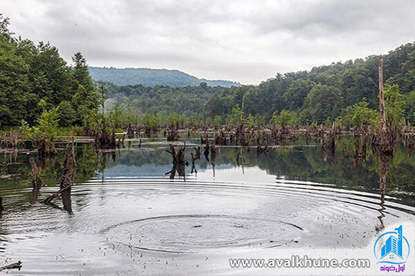 تالاب ارواح شهر نوشهر