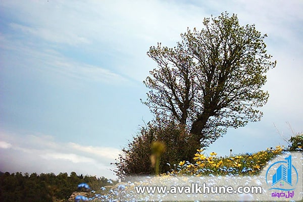 جاذبههای گردشگری مازیچال در مازندران