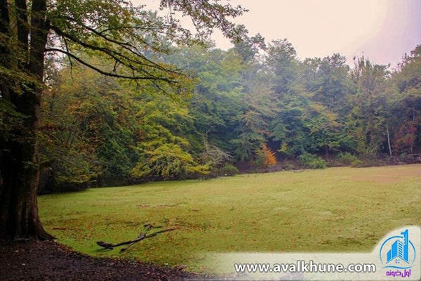 مرداب هسل در چالوس ایران مرداب هسل در چالوس ایران