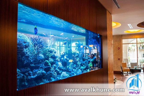 خرید آکواریوم خانگی خرید آکواریوم خانگی