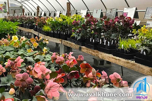 راه اندازی گلخانه