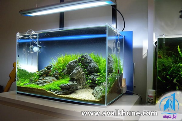 نگاهی به زیباترین طراحی آکواریوم خانگی نگاهی به زیباترین طراحی آکواریوم خانگی