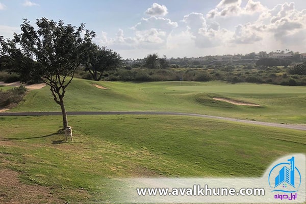 خرید زمین در شمال خرید زمین در شمال