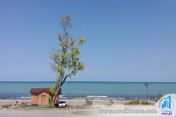 جنگل سیسنگان