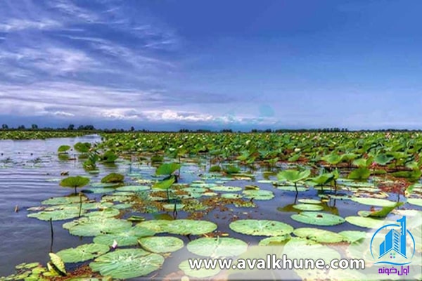 زیباترین تالابهای مازندران