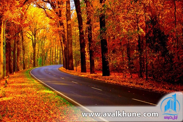 پاییز شمال و انفجار رنگها