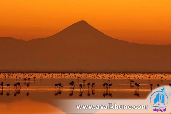 تالاب میانکاله-مازندران