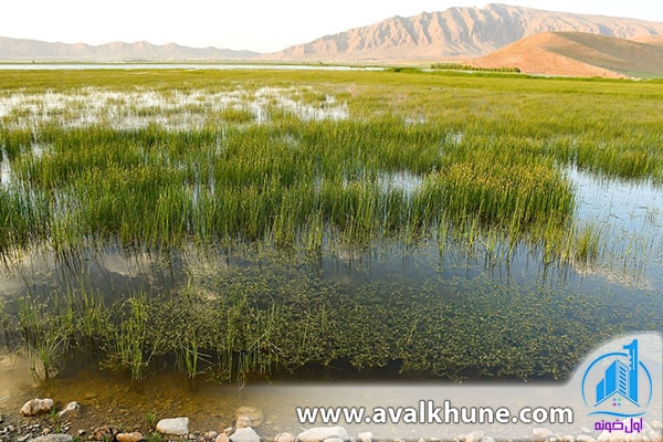 مشکلات و چالشهای تالابهای مازندران