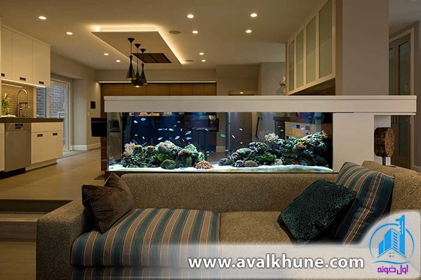 آکواریوم خانگی آکواریوم خانگی