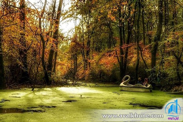 جنگل دالخانی در شهر رامسر جنگل دالخانی در شهر رامسر