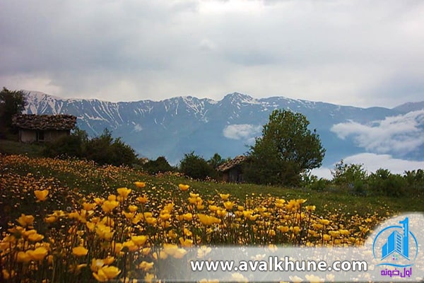 روستای مازیچال در مازندران کجاست؟