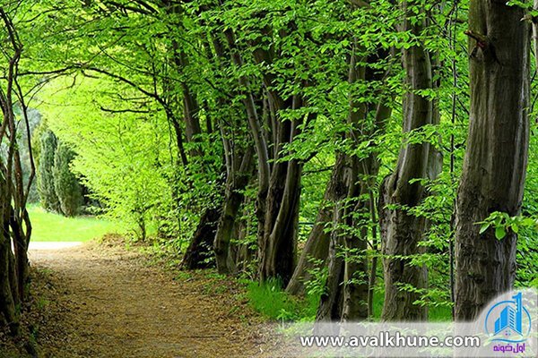 پارک جنگلی سیسنگان