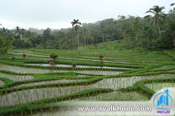 ارتباط نقشهبرداری زمین کشاورزی با خرید زمین در شمال ارتباط نقشهبرداری زمین کشاورزی با خرید زمین در شمال