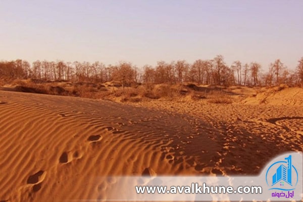 تپه‌های ماسه‌ای میانکاله