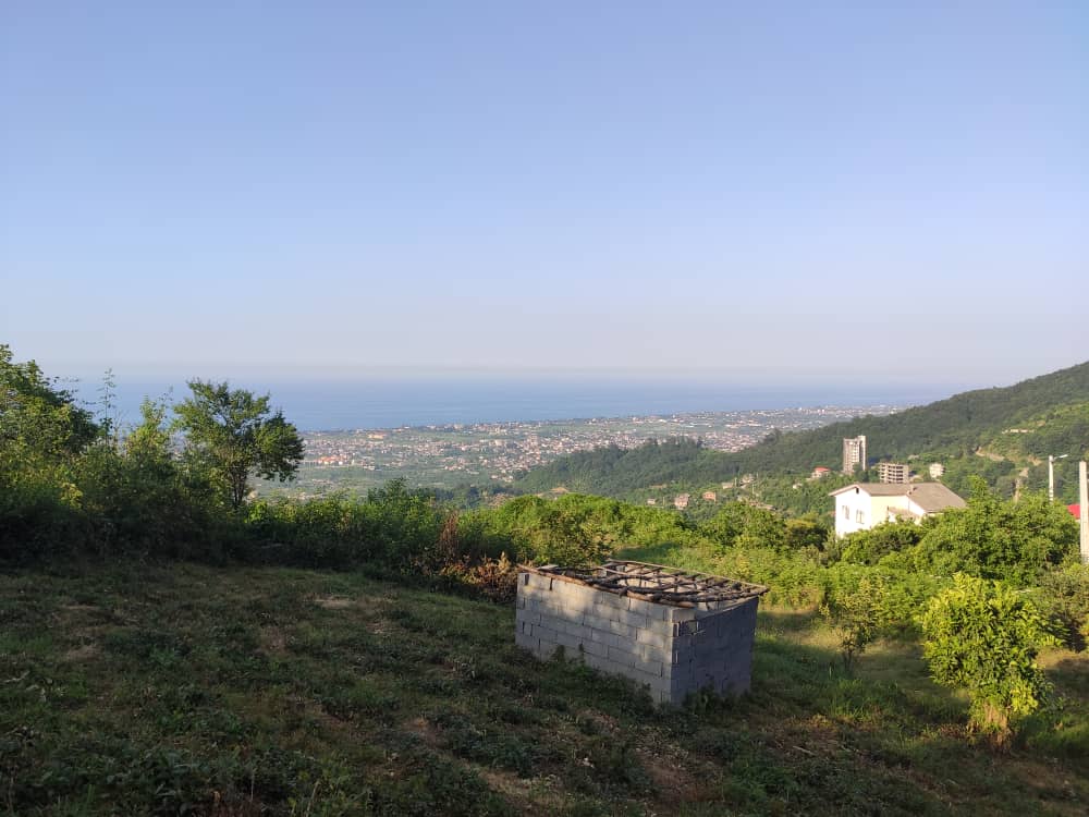 زمین 472 متری در اربه کله معروف رامسر