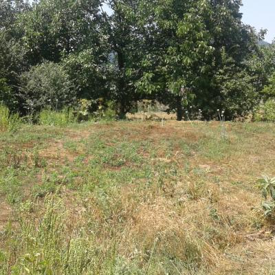 خرید زمین کوهستانی