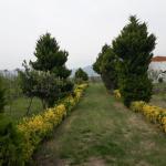 ویلا باغ لاکچری