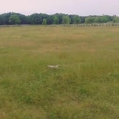 زمین متراژ بالا خوشقواره شهرکی