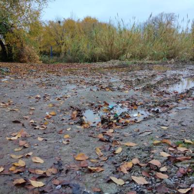 زمین در شهرک الهیه سرخرود