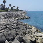 خرید زمین ساحلی در شمال