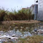 خرید زمین ارزان ساحلی در درویش آباد