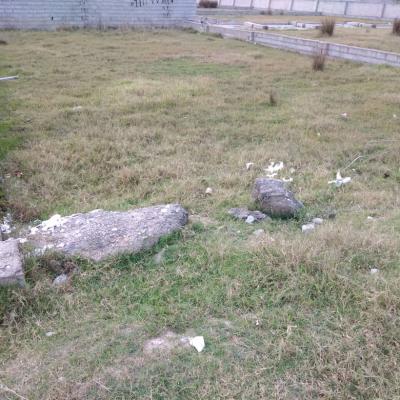 خرید یک قطعه زمین در شمال