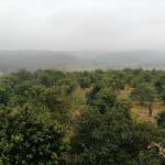 خرید زمین با معاوضه آپارتمان یا ماشین