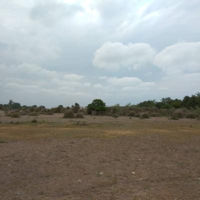 فروش زمین هکتاری جاده به ساحل