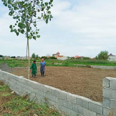 زمین ارزان قیمت جنگلی سرخرود