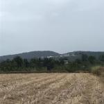 فروش زمین جنگلی در زیارو آمل