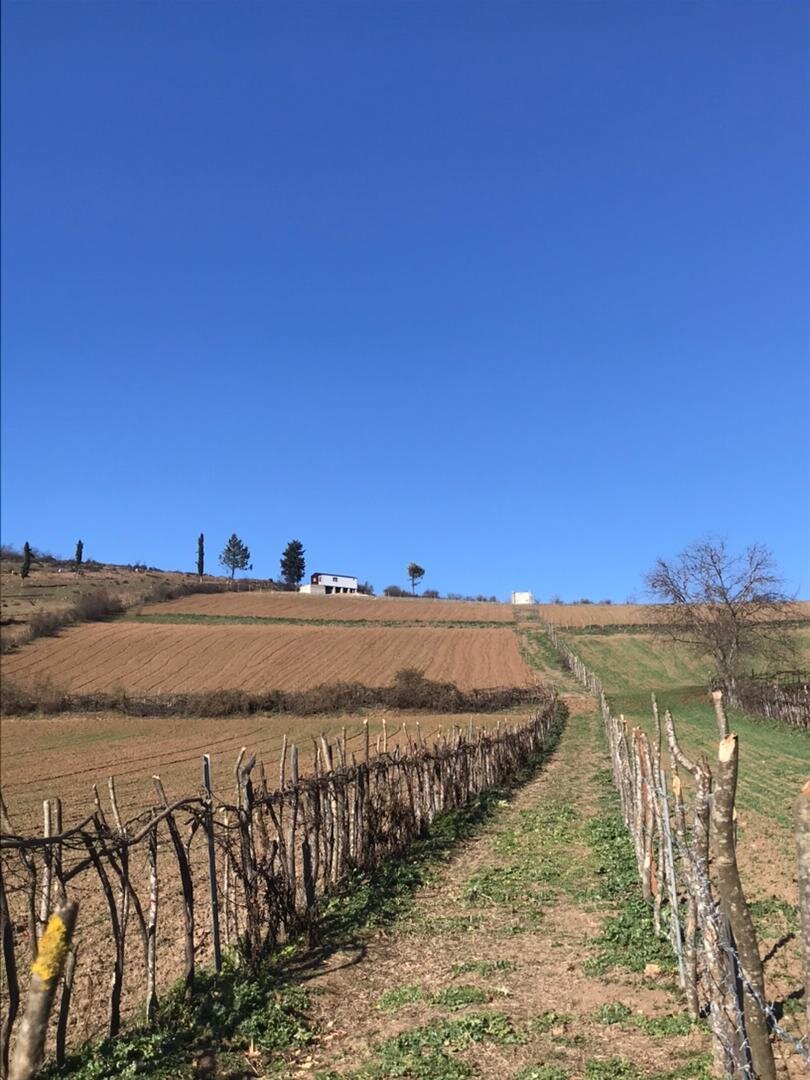 زمین کشاورزی