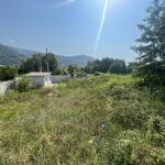 خرید زمین در خیابان نوروزی نوشهر