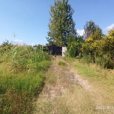 زمین باغی با قطعات کوچک جهت سرمایه گذاری